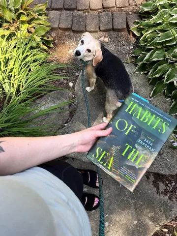 worldswithinpages Instagram post about Reading slump