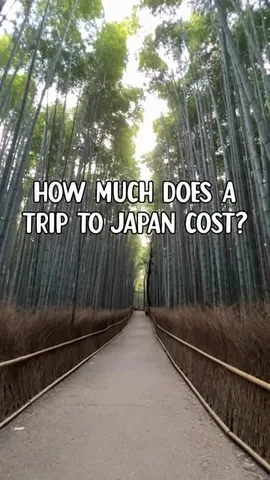 worldwidehoneymoon Instagram post about Japan trip budgeting