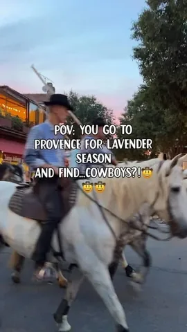 worldwidehoneymoon Instagram post about Camargue and Provence bull traditions