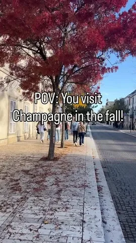 worldwidehoneymoon Instagram post about Champagne autumn travel