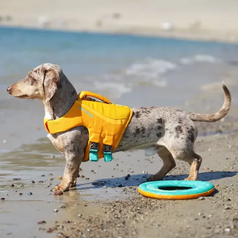 youdidwhatwithyourwiener Instagram post about Dog water gear