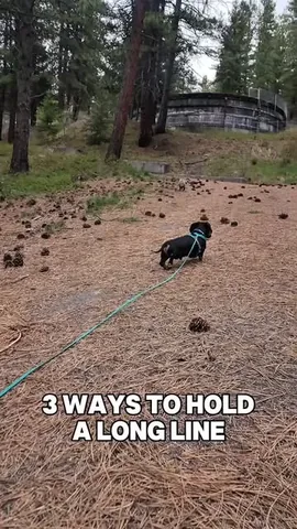 youdidwhatwithyourwiener Instagram post about Long line handling