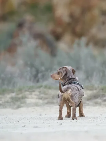 youdidwhatwithyourwiener Instagram post about Grief and personal transition