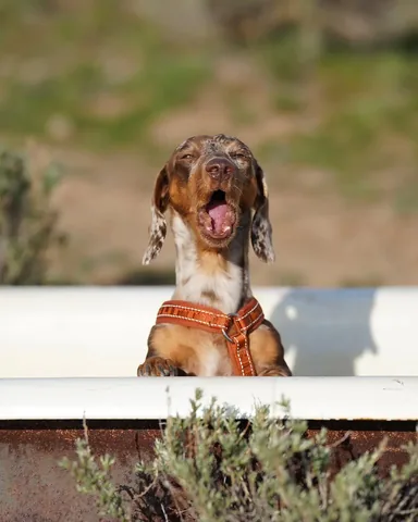 youdidwhatwithyourwiener Instagram post about Account relaunch