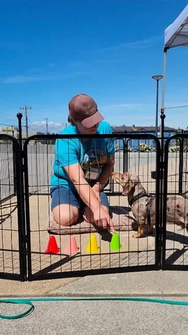 youdidwhatwithyourwiener Instagram post about Dog playpen review