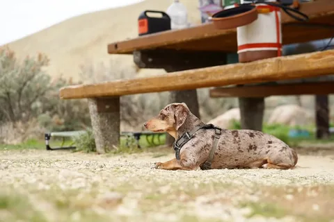 youdidwhatwithyourwiener Instagram post about Nature and personal wellbeing