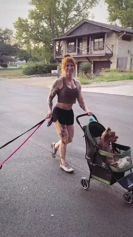zoalinseyifbbpro Instagram post about Dog injury and recovery