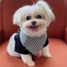 Abby — Instagram profile photo