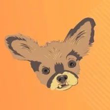 Chewie the Chi — Instagram profile photo