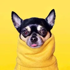 Dolly Pawton — Instagram profile photo