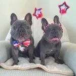 Henry & Penny — Instagram profile photo