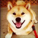小野 慎二郎 — Instagram profile photo