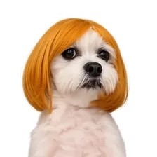 Mr. Tobiman 🐾 — Instagram profile photo