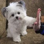 NORBERT & LEONARD — Instagram profile photo