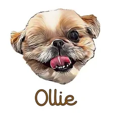 Ollie the Shih Tzu — Instagram profile photo
