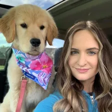 Pearl The Golden Girl & Liz Lang | Golden Retriever — Instagram profile photo