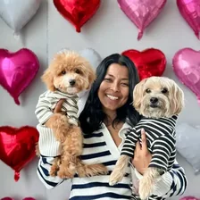 Sharon + Teddy & Bear | Content Creator | Dog Mom Lifestyle — Instagram profile photo