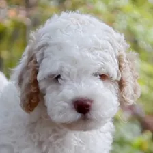 Skylie Ryce — Instagram profile photo