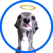 Tika & Kala — Instagram profile photo