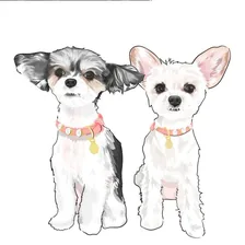 Tinkerbelle The Dog® & Belle — Instagram profile photo