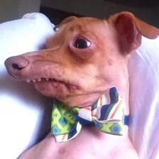 Tuna aka Phteven — Instagram profile photo