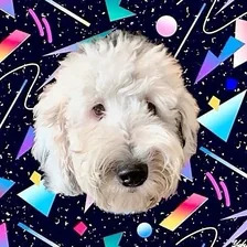 I Am Bunny — Instagram profile photo