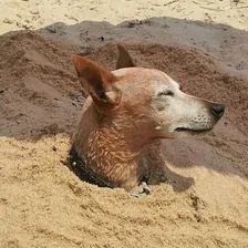 Steve Greig — Instagram profile photo