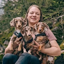 Jessica - Doxie Expert, LFDM-BDWA, DN-CET — Instagram profile photo